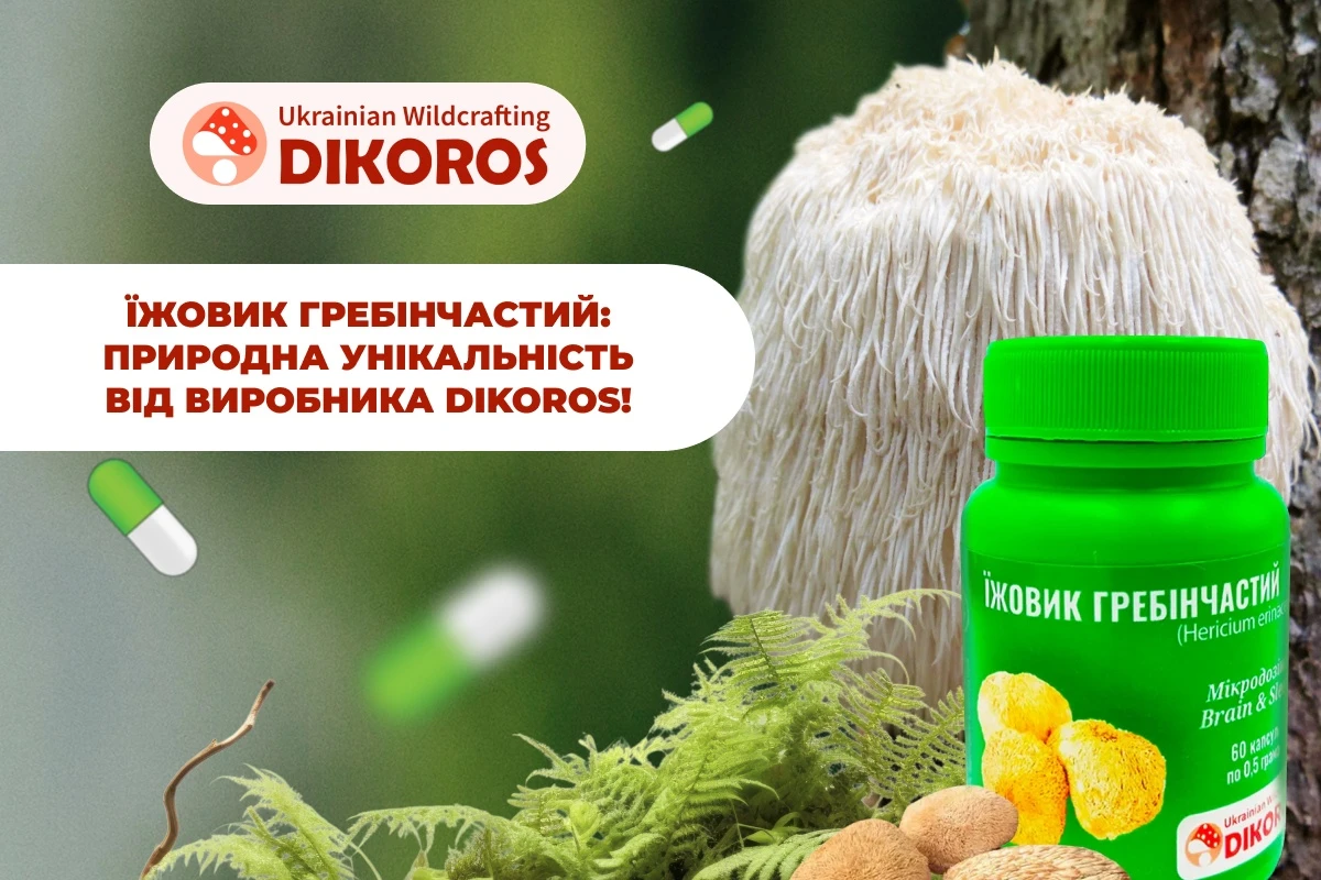 Їжовик гребінчастий — гриб, який виглядає як корал: чому він став відомим функціональним грибом?