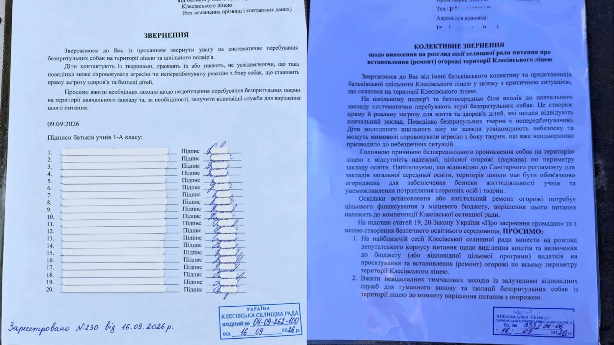 На подвір’ї школи — безпритульні собаки: батьки б'ють на сполох через тварин у Клесівському ліцеї