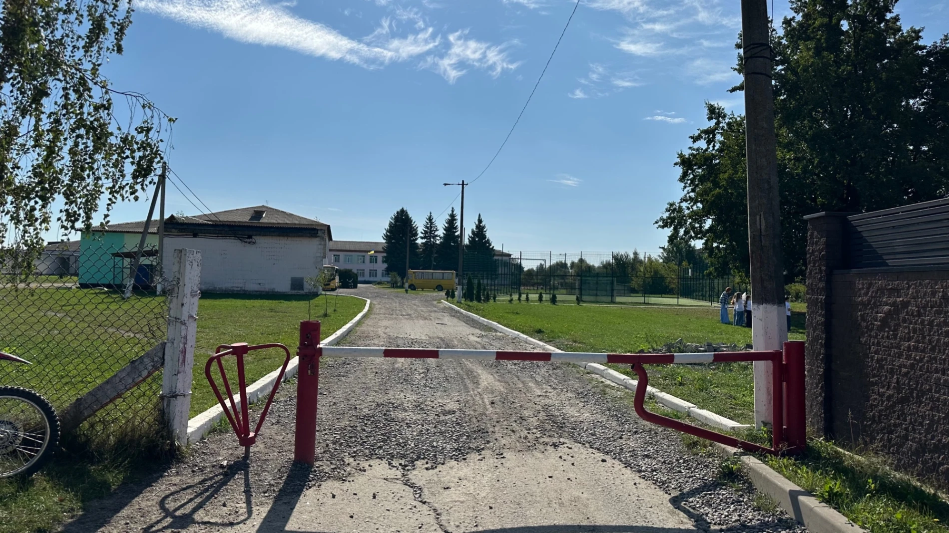 На подвір’ї школи — безпритульні собаки: батьки б'ють на сполох через тварин у Клесівському ліцеї