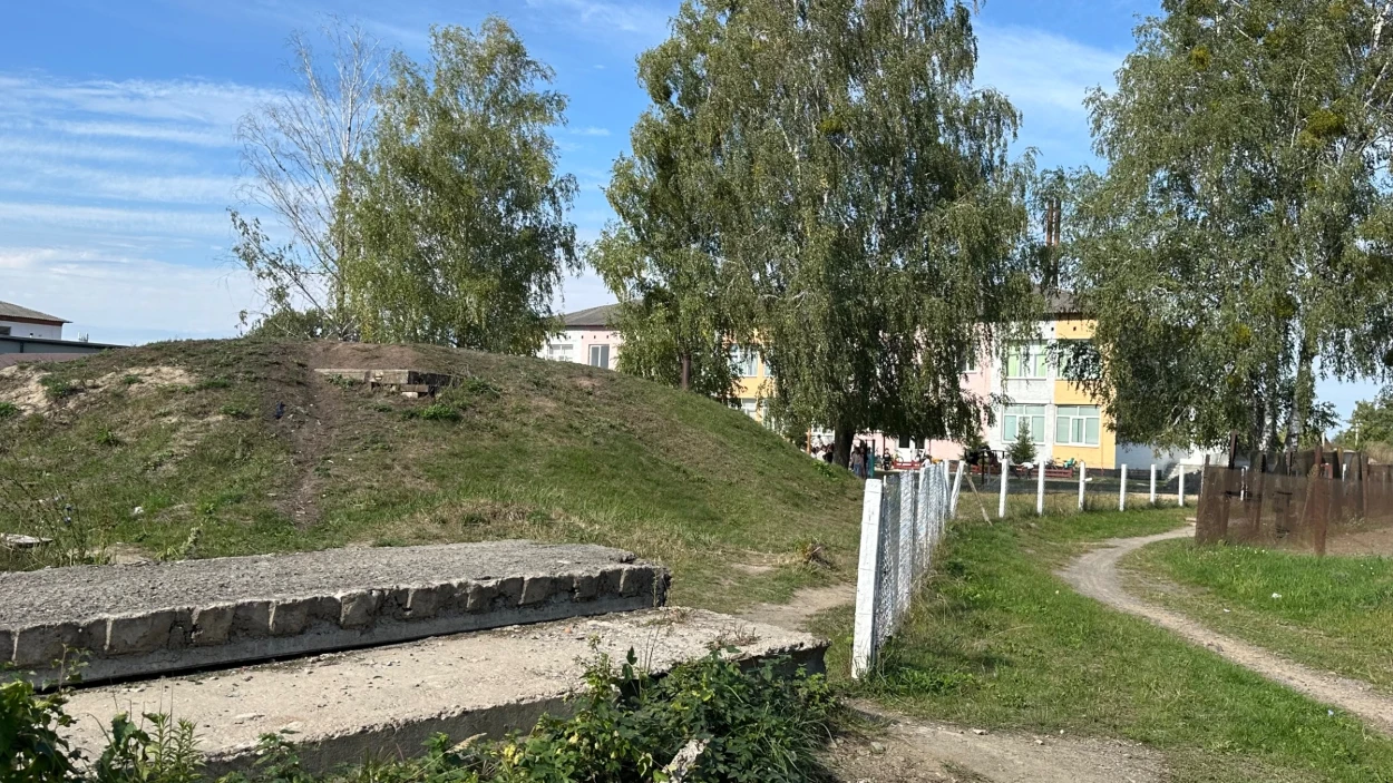 На подвір’ї школи — безпритульні собаки: батьки б'ють на сполох через тварин у Клесівському ліцеї