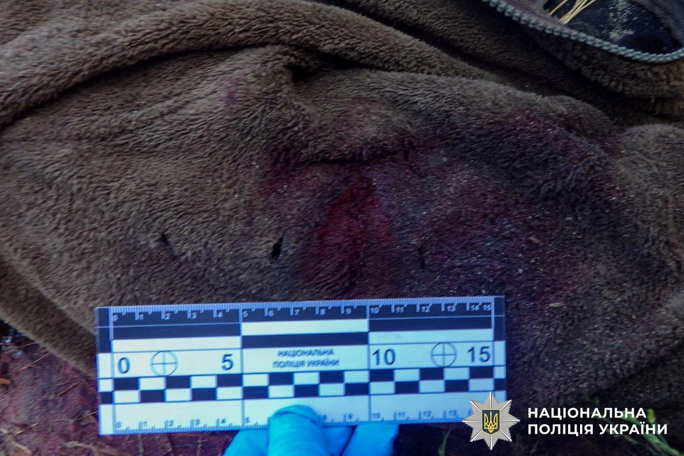 У лісі на Сарненщині чоловік зарізав односельця під час сварки