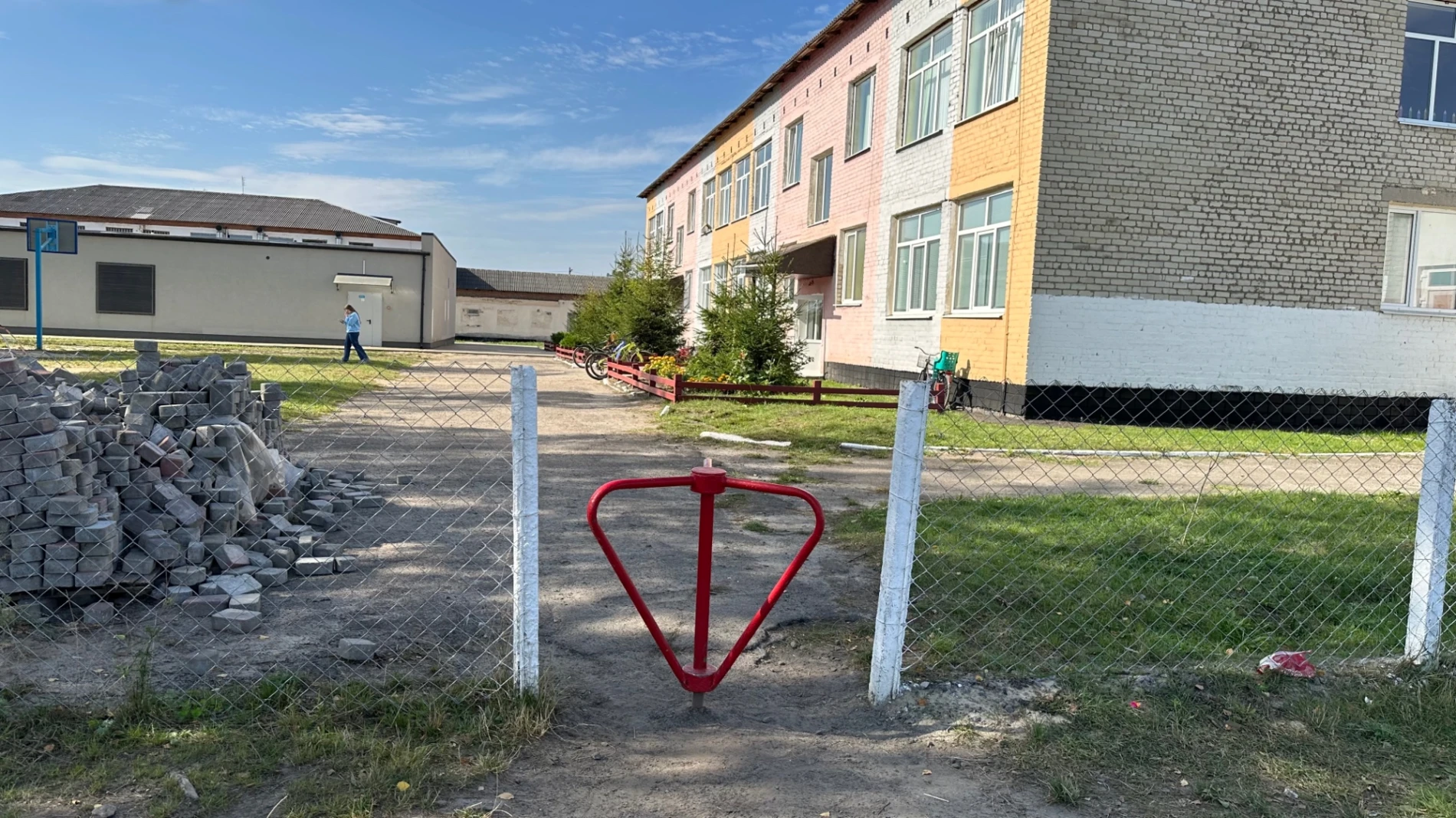 На подвір’ї школи — безпритульні собаки: батьки б'ють на сполох через тварин у Клесівському ліцеї