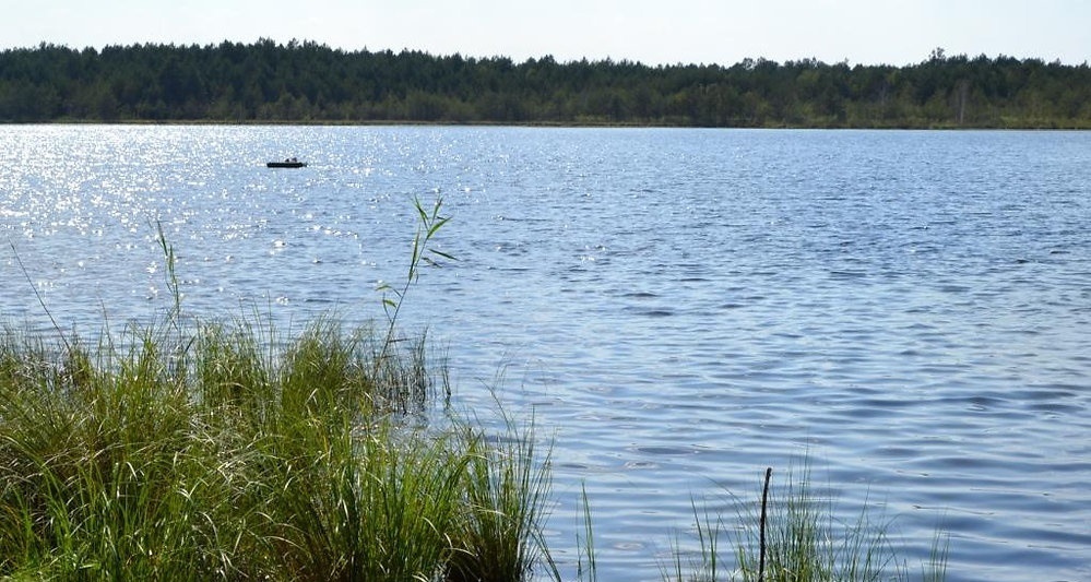 озеро воронківське, відпочинок на озері