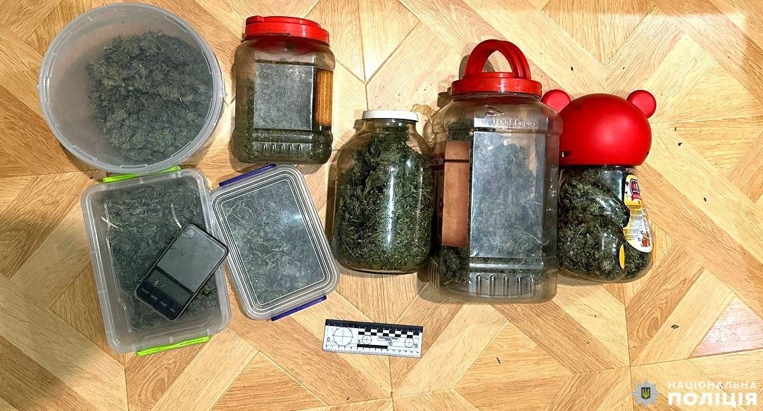 канабіс берестя обшуки