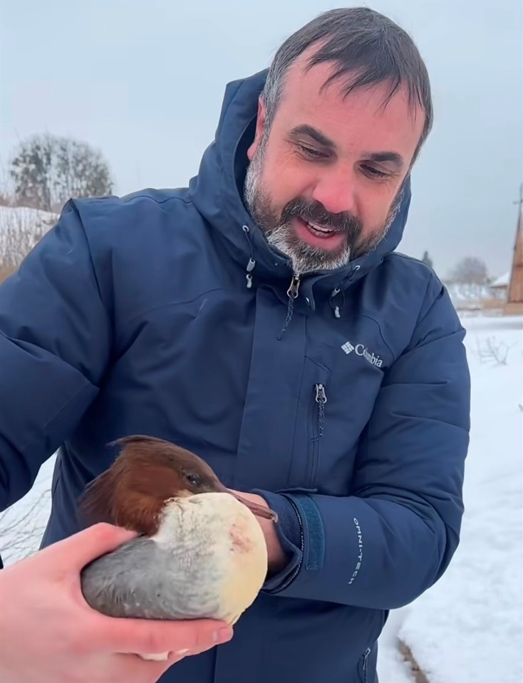 Птаха випускають у парку.