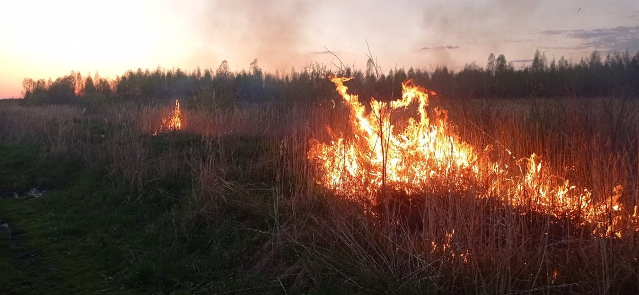 горить суха трава дубровиця озерськ сарненський район