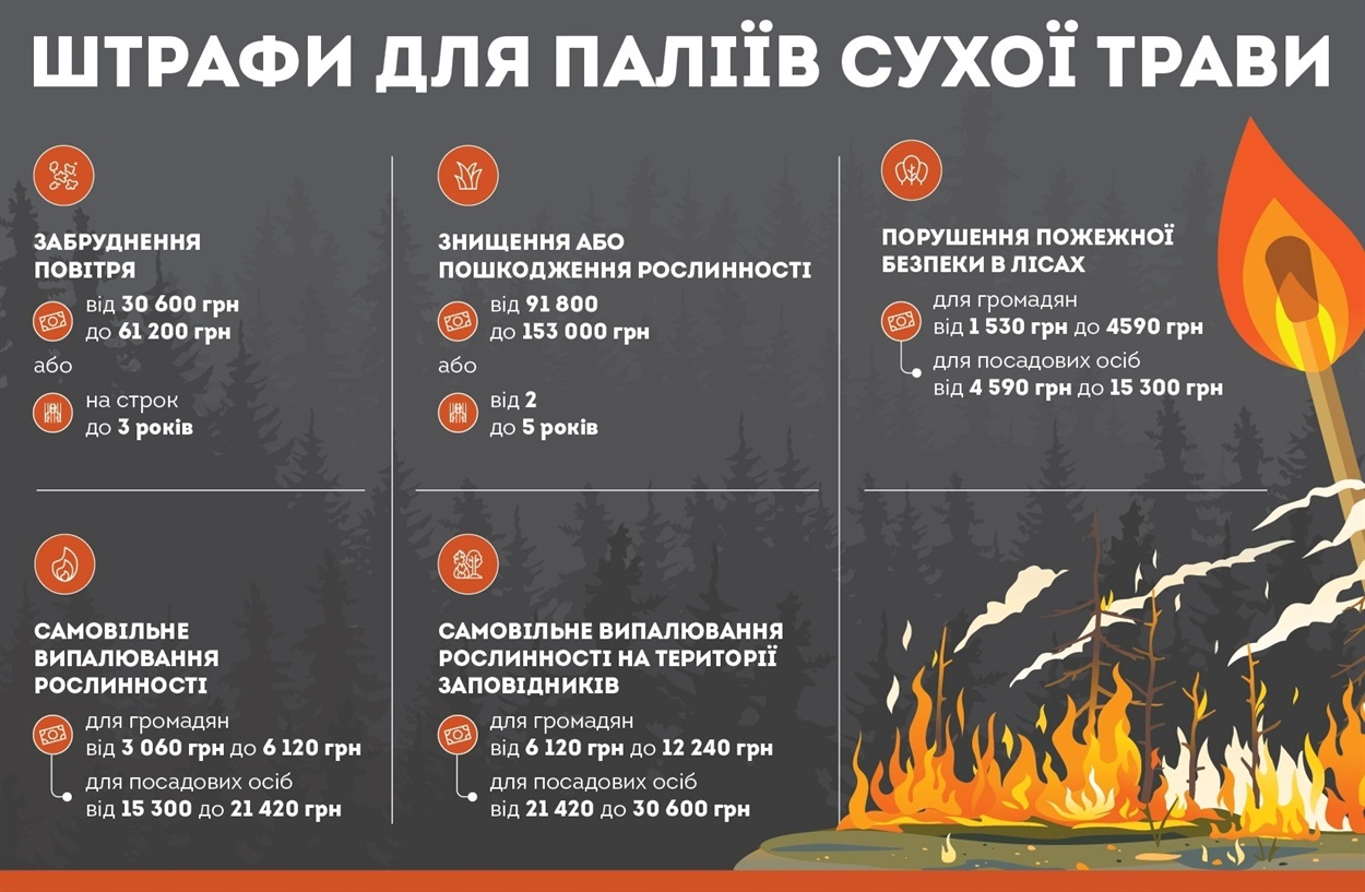 штрафи пожежа суха трава паління рівненщина