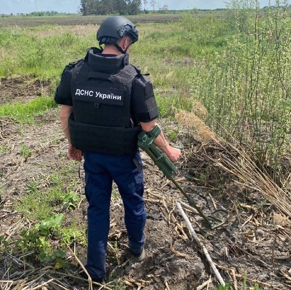 знешкодили міну немовичі сарни