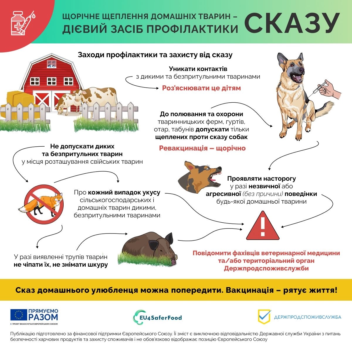 сказ що робити, вкусив кіт пес що робити