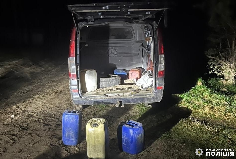 зносичі немовичі пальне