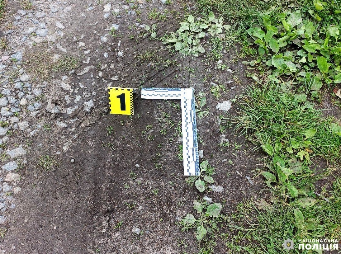 авто вкрали масевичі рокитне