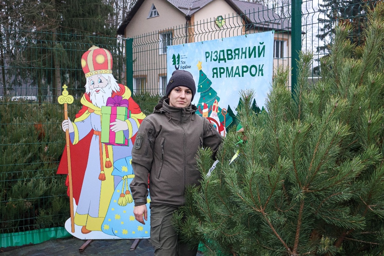 купити ялинку сарни Дубровиця