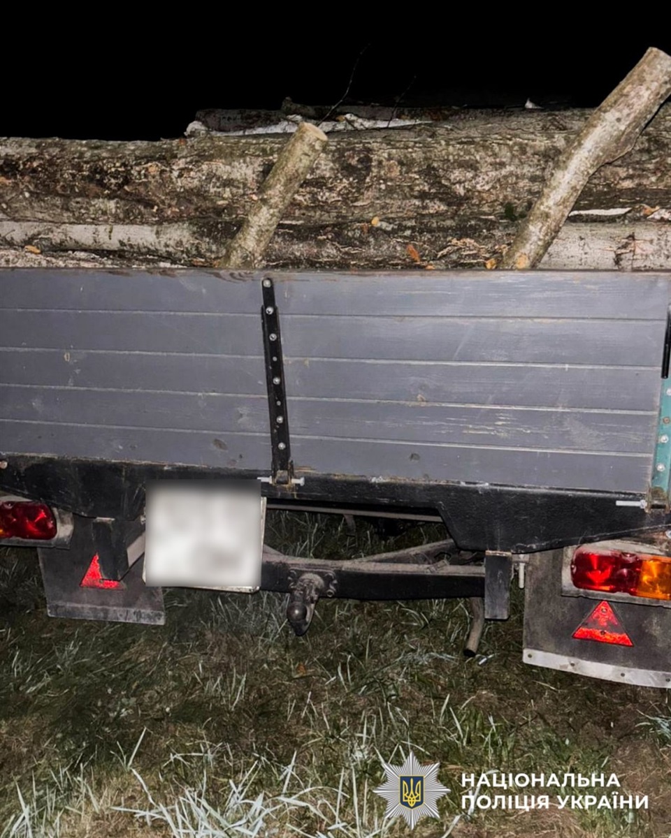 Чотирьох чоловіків із Сарненського району викрили на перевезенні деревини