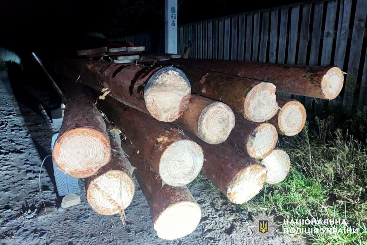 Чотирьох чоловіків із Сарненського району викрили на перевезенні деревини