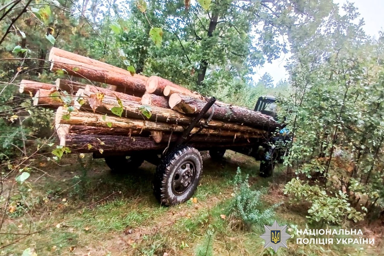 Чотирьох чоловіків із Сарненського району викрили на перевезенні деревини