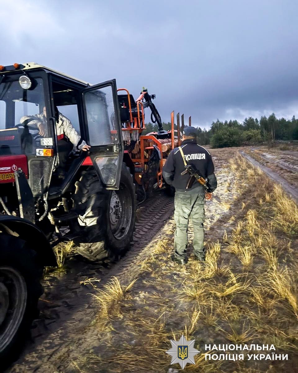 Чотирьох чоловіків із Сарненського району викрили на перевезенні деревини