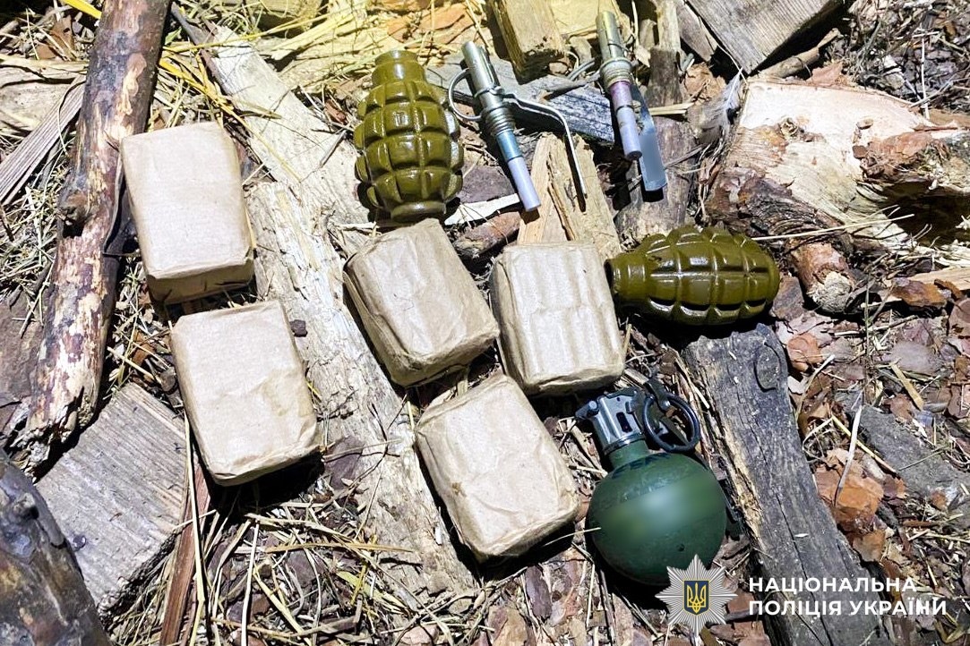 У жителів Сарненського району вилучили гранати й нелегальну деревину