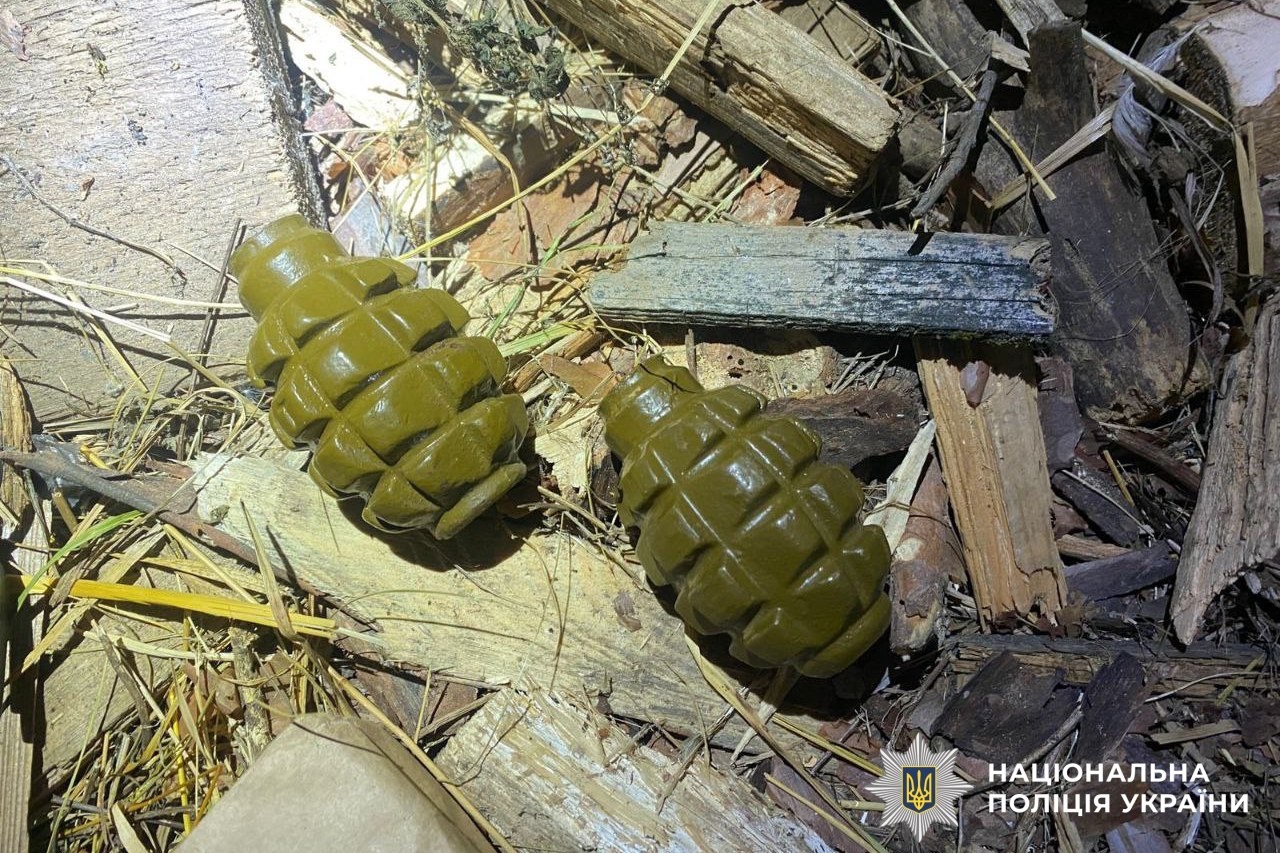 У жителів Сарненського району вилучили гранати й нелегальну деревину