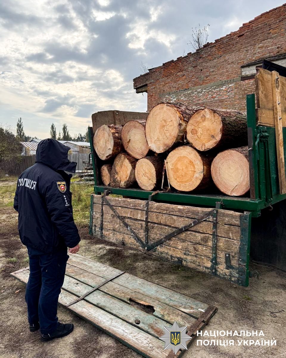 У жителів Сарненського району вилучили гранати й нелегальну деревину