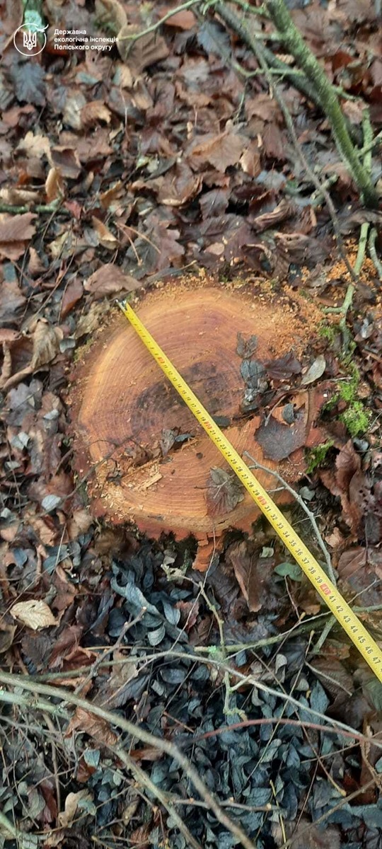 Сміття, зрізані дерева та рибальські гачки: екоінспекція перевірила Сарненщину