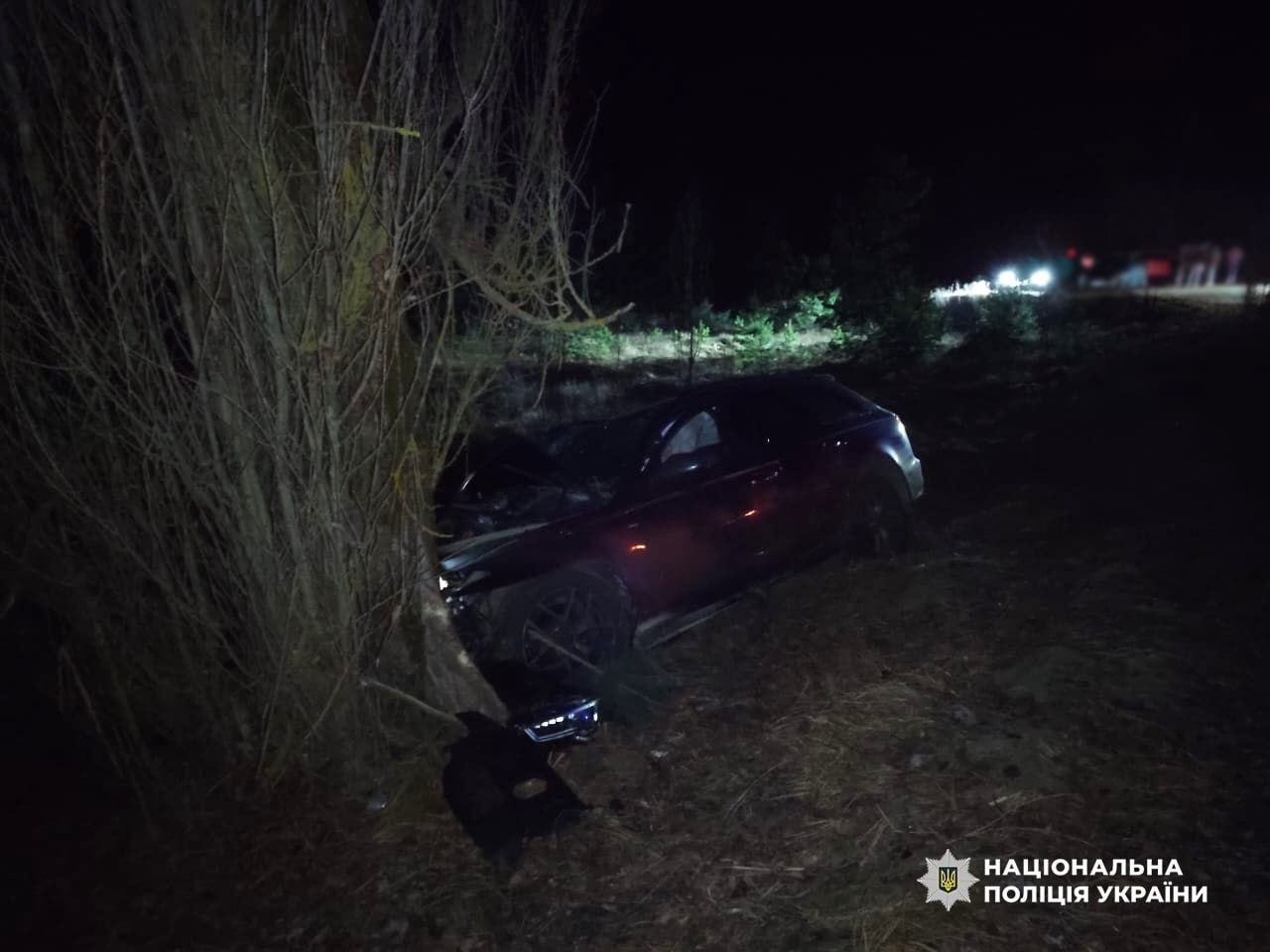 На Сарненщині Audi в’їхала в дерево: постраждали троє пасажирів