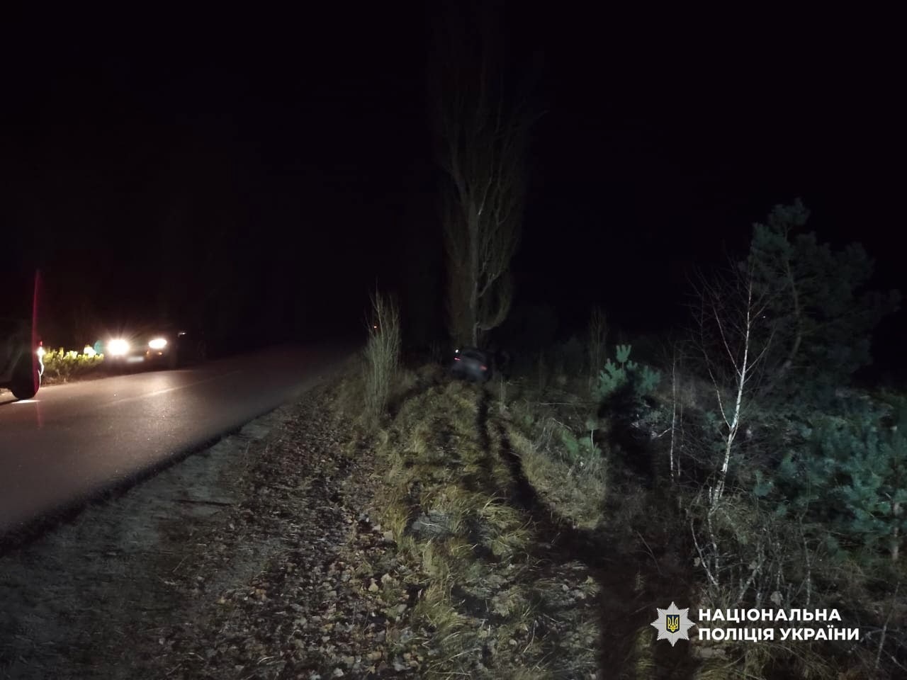 На Сарненщині Audi в’їхала в дерево: постраждали троє пасажирів