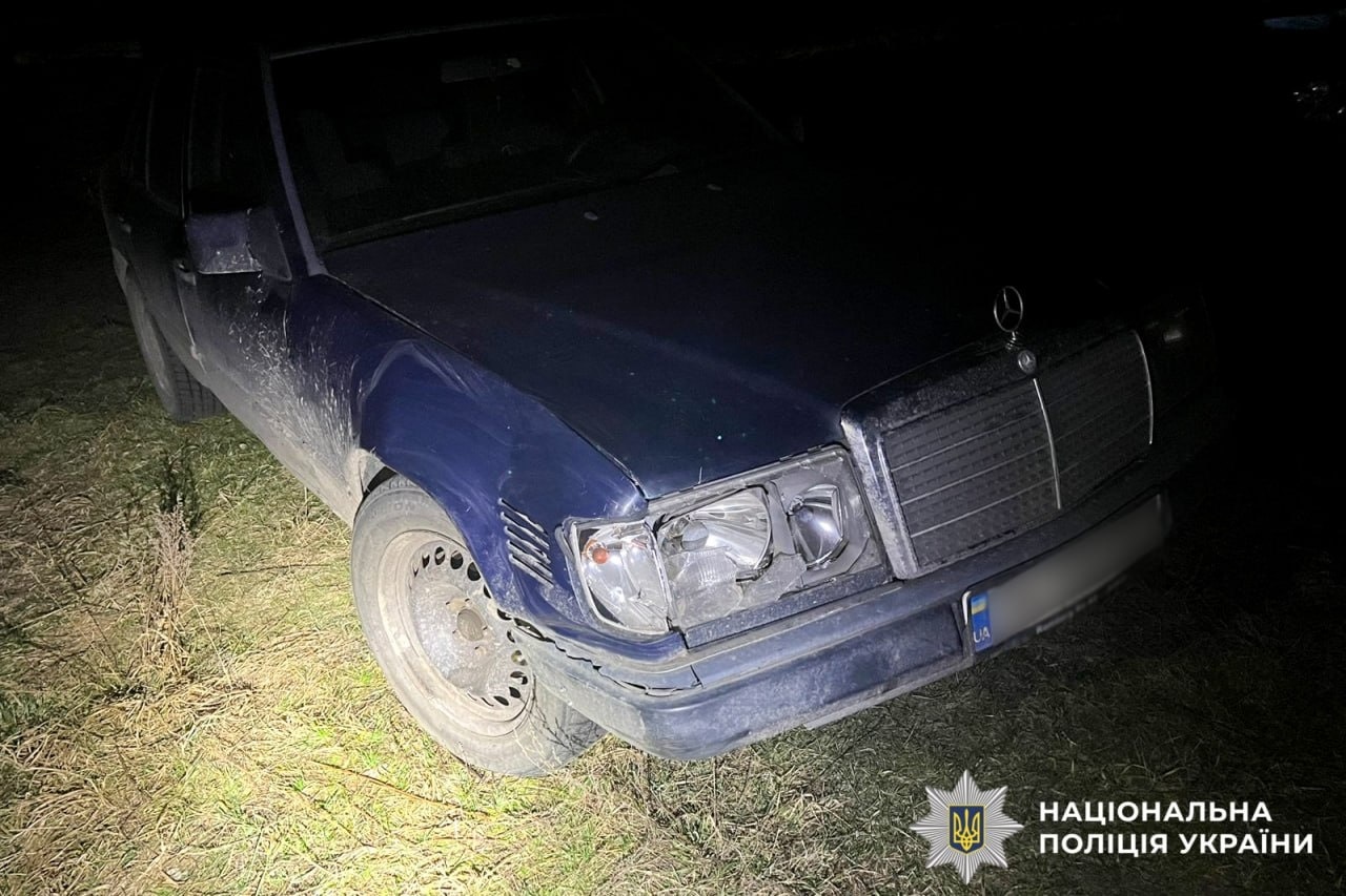 Наїхала та втекла: в якому стані відомий олень Борис після ДТП