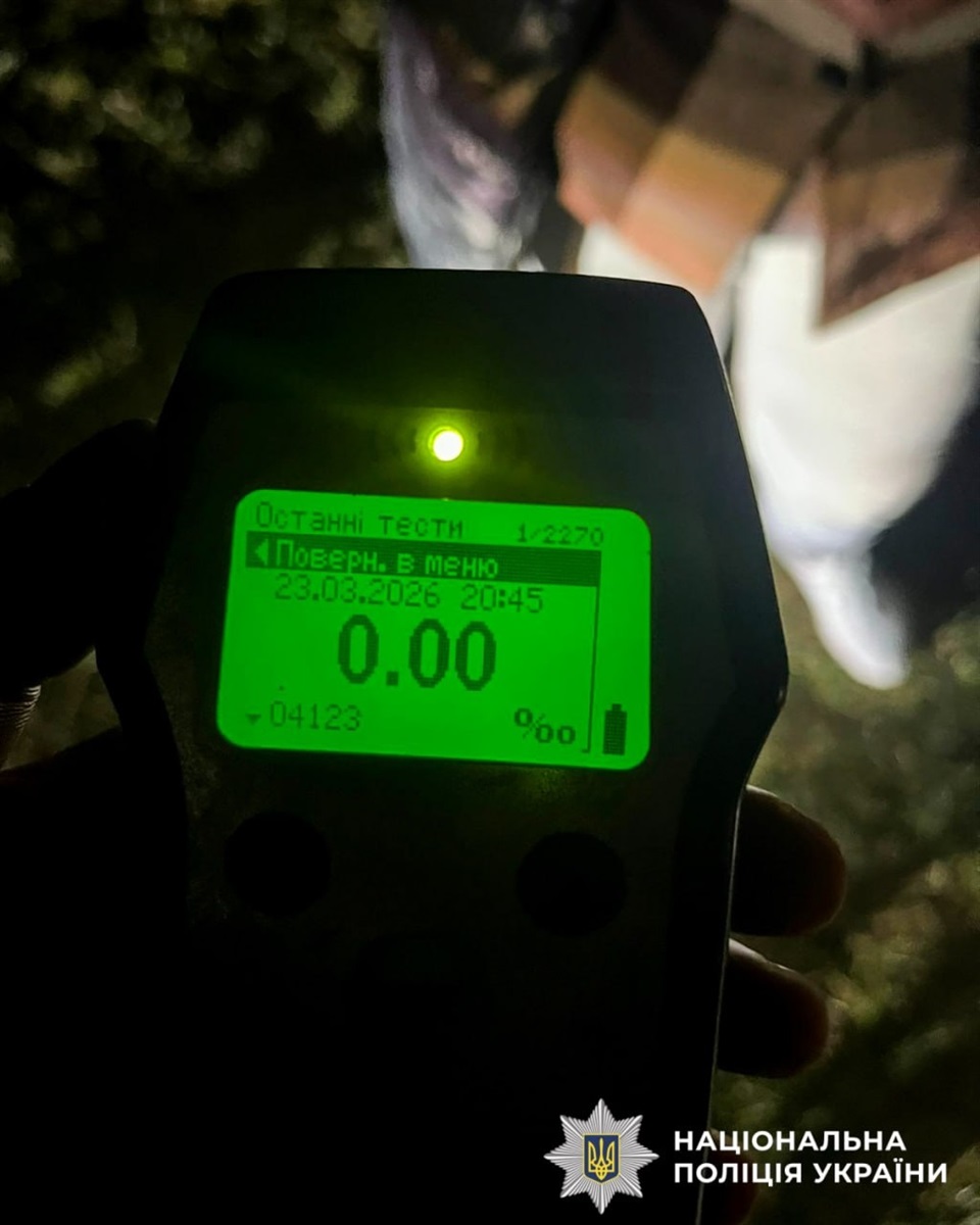 Наїхала та втекла: в якому стані відомий олень Борис після ДТП