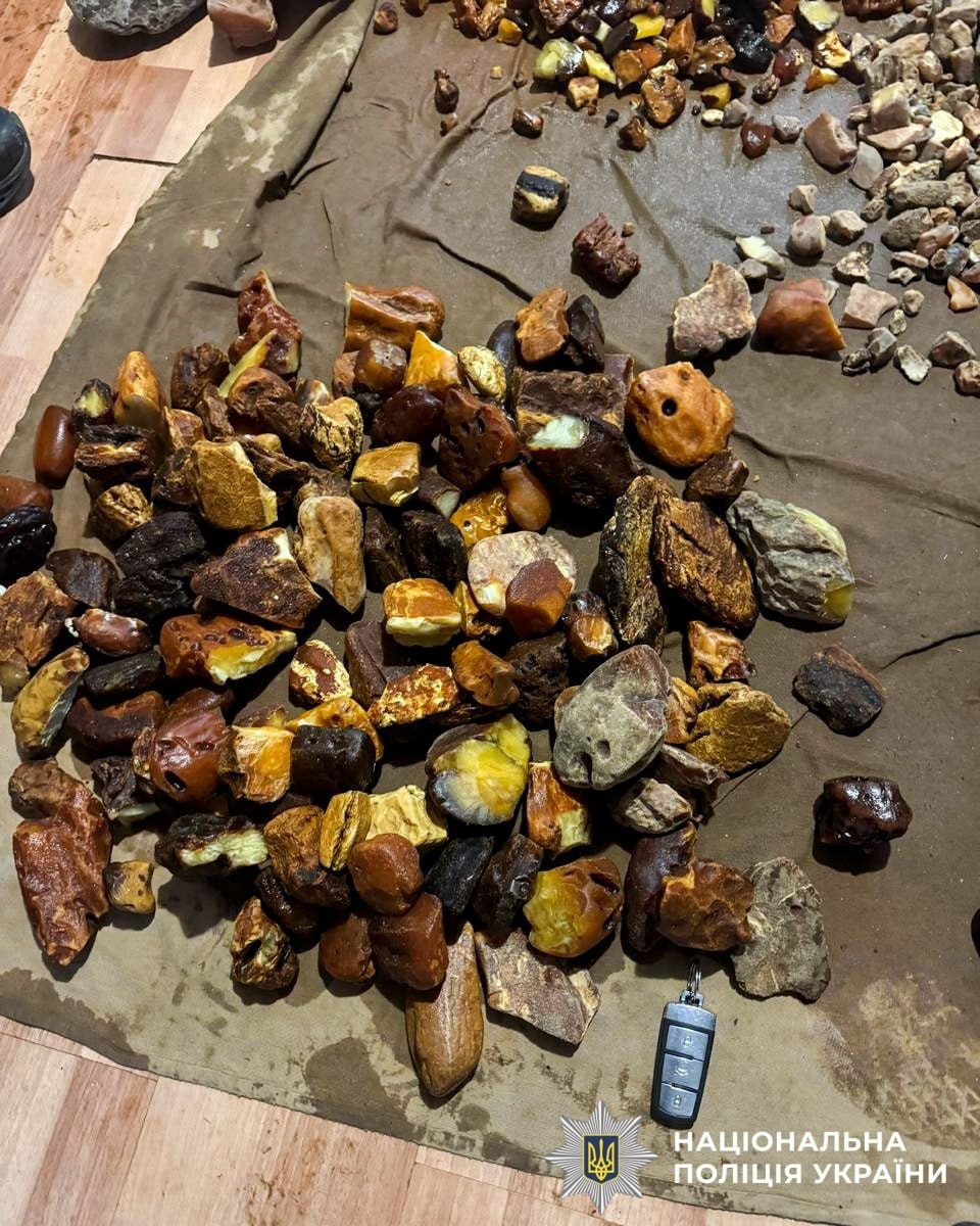 Бурштиновий бізнес на близько два мільйони: на Рівненщині викрили схему нелегального заробітку