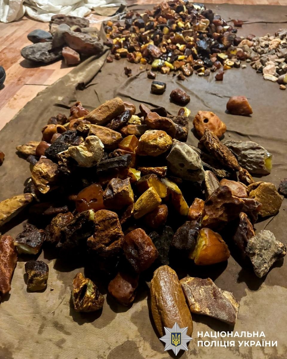 Бурштиновий бізнес на близько два мільйони: на Рівненщині викрили схему нелегального заробітку