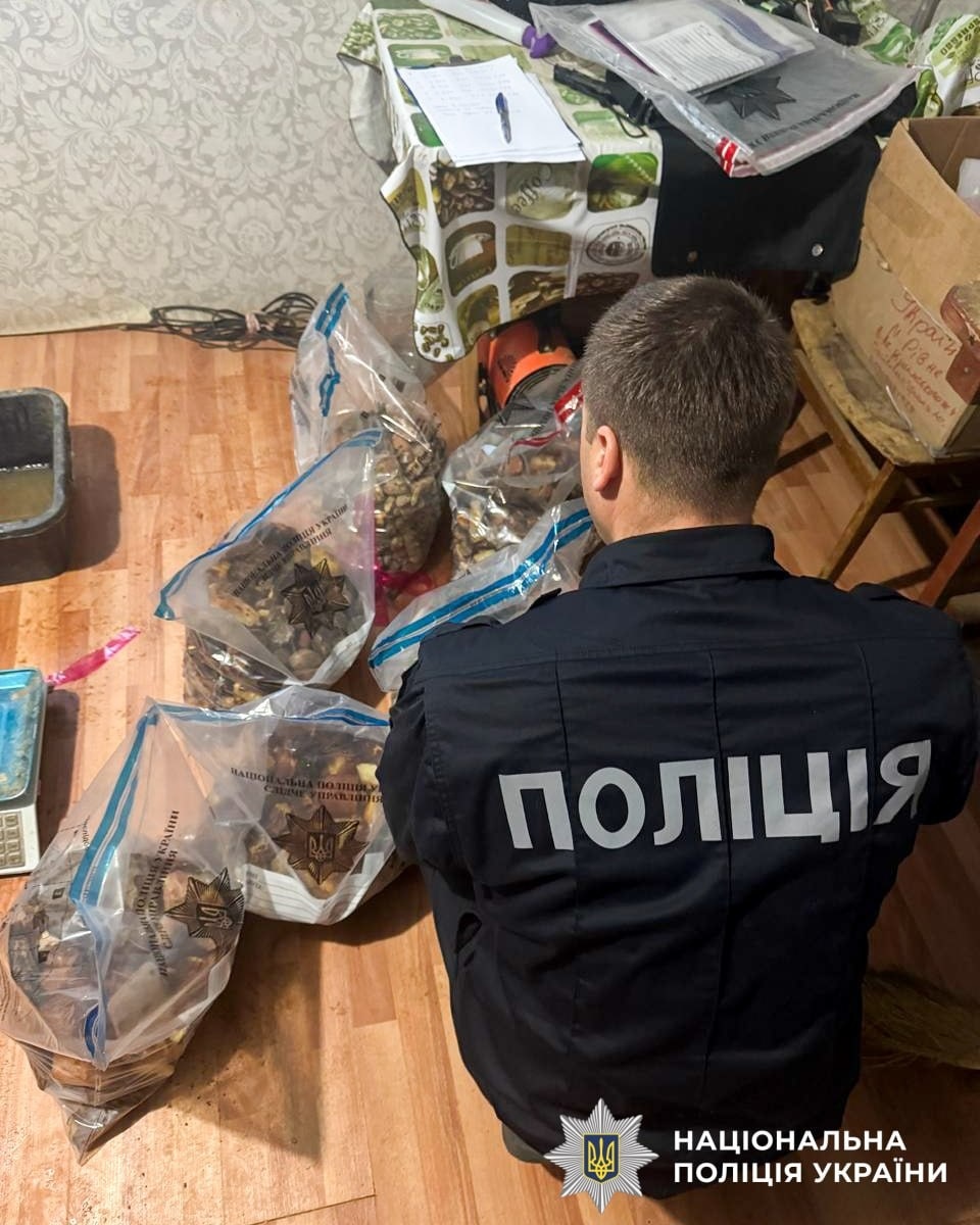 Бурштиновий бізнес на близько два мільйони: на Рівненщині викрили схему нелегального заробітку