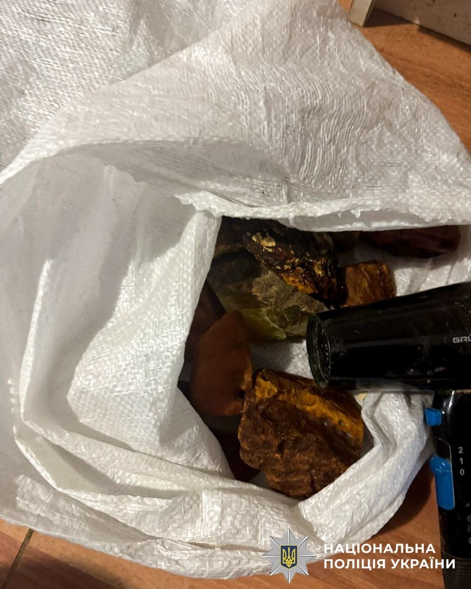 Бурштиновий бізнес на близько два мільйони: на Рівненщині викрили схему нелегального заробітку