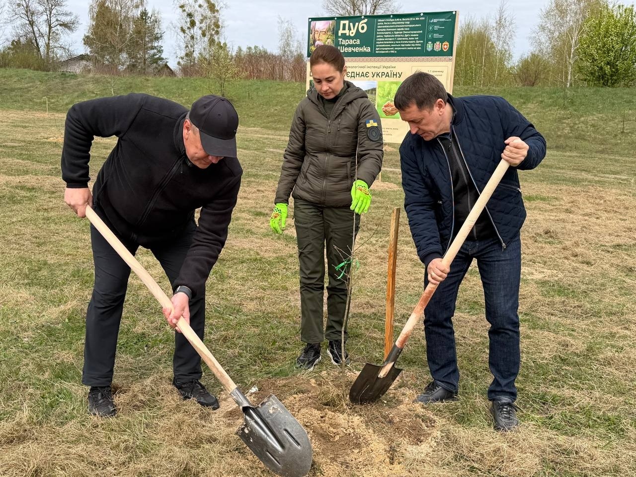 27 «Шевченкових» дубів: у Сарнах створили Алею пам’яті та незламності