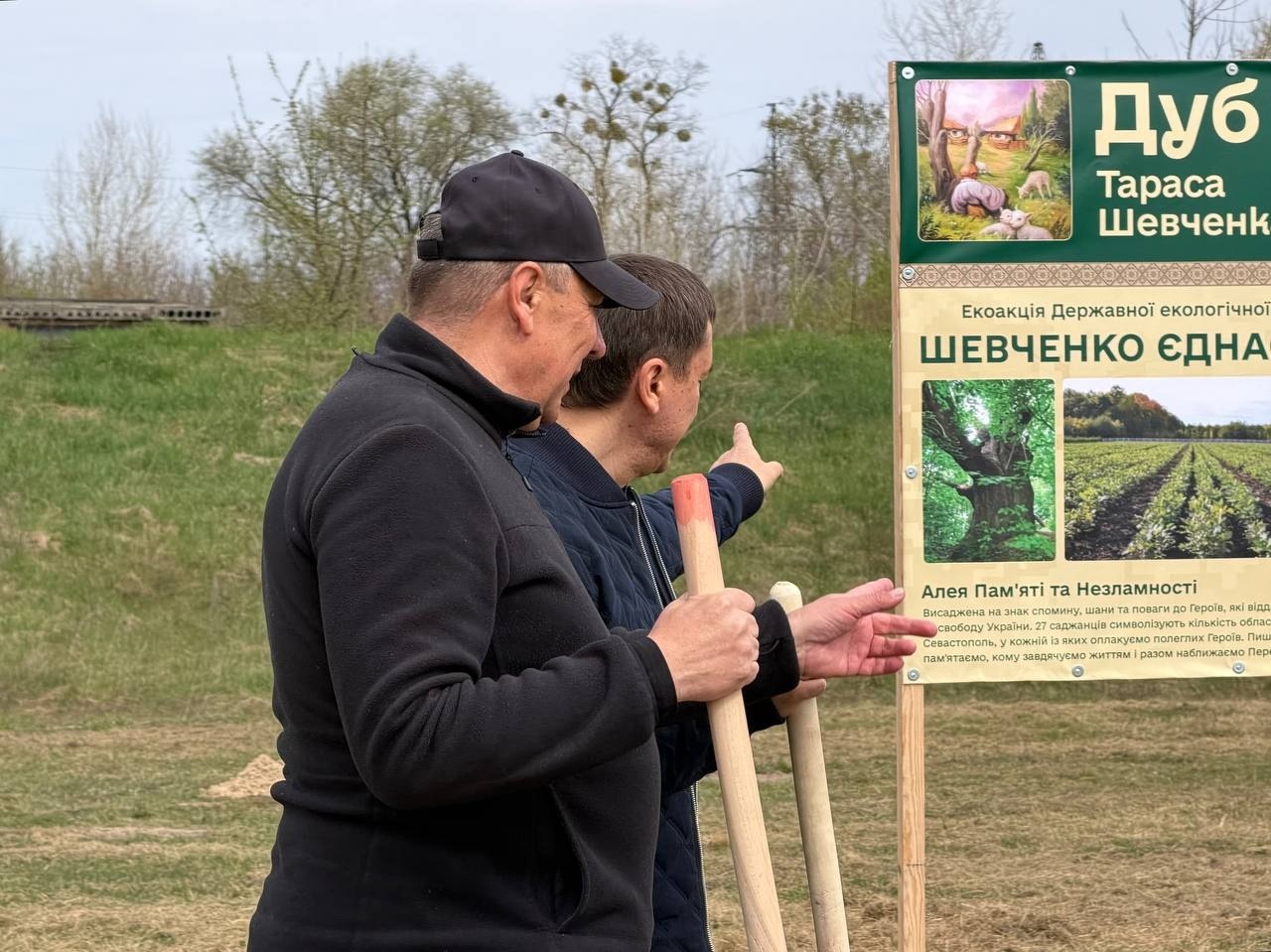 27 «Шевченкових» дубів: у Сарнах створили Алею пам’яті та незламності