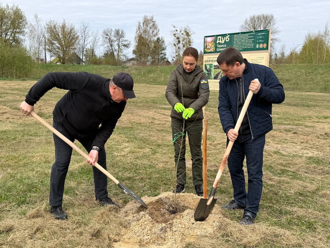 27 «Шевченкових» дубів: у Сарнах створили Алею пам’яті та незламності
