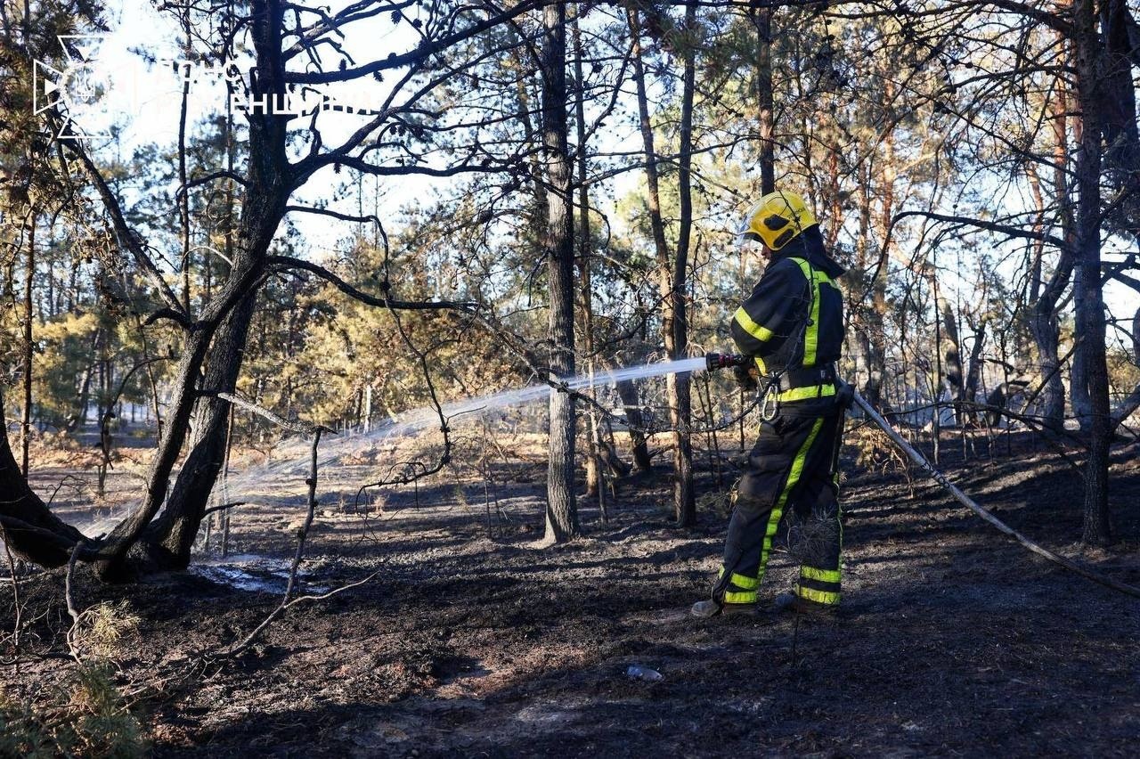 Масштабна пожежа на Сарненщині: горіли п’ять гектарів лісу та будівля