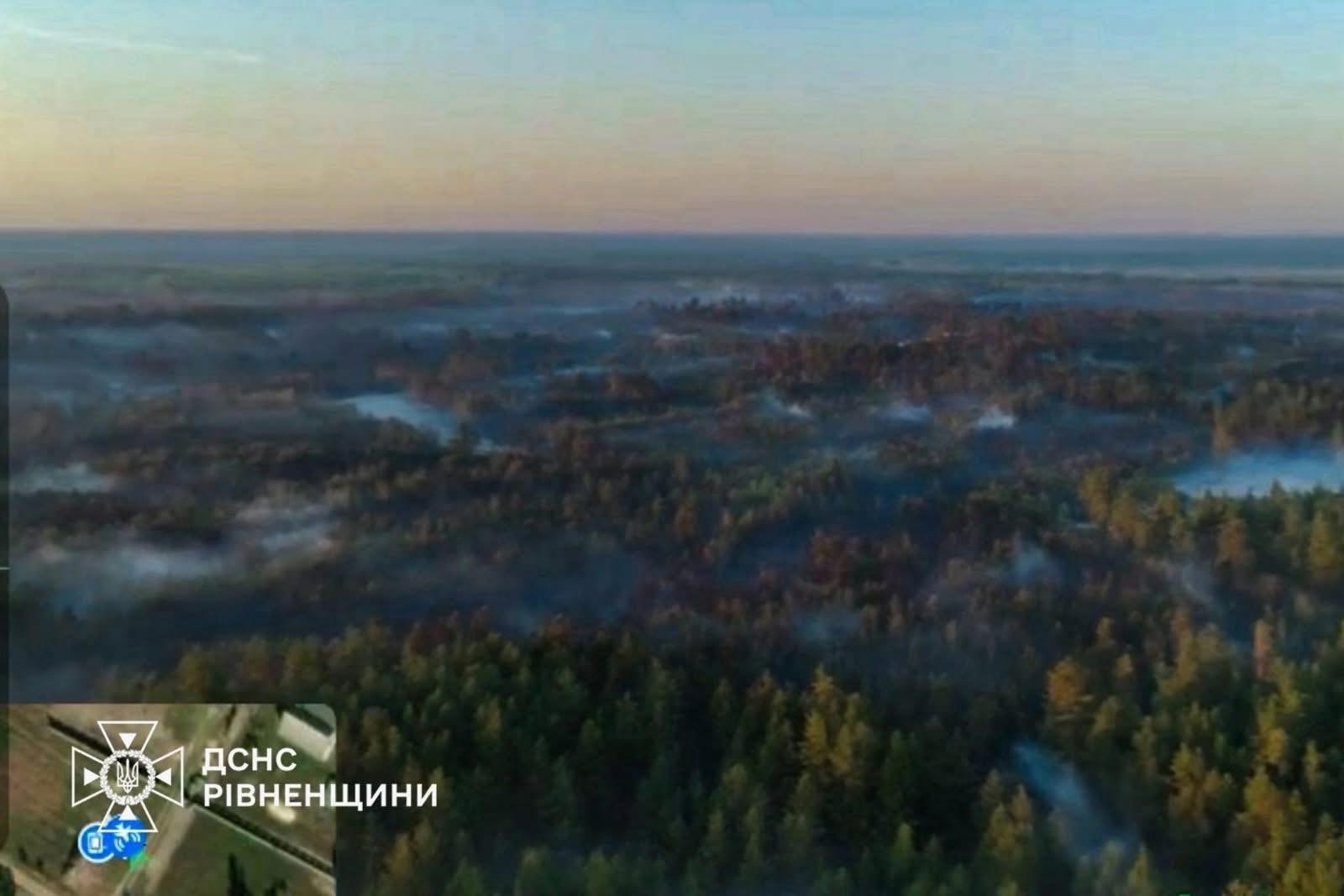 На Сарненщині приборкали пожежу в лісі, яка дісталася заповідника