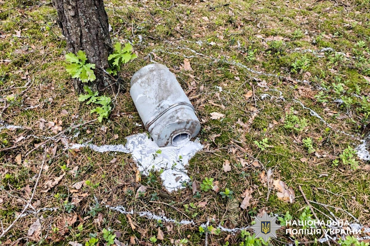 У полі на Сарненщині впав російський безпілотник — його знешкодили