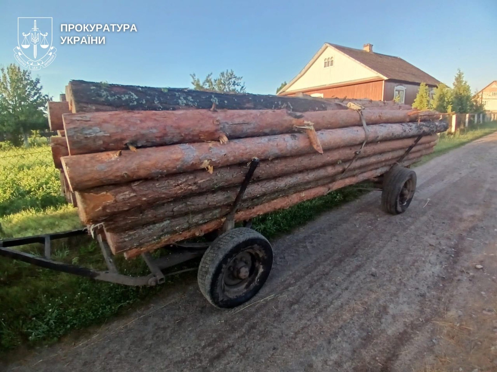 Вирубка сосен у заказнику на понад 2,5 млн: у Сарненському районі викрили майстра лісу зі спільником