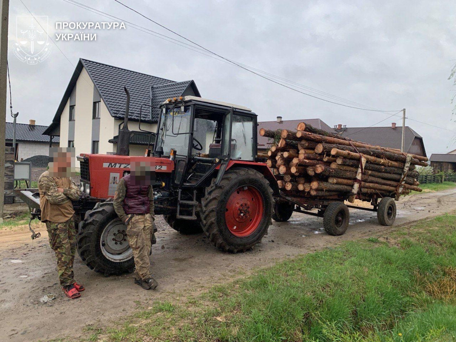 Вирубка сосен у заказнику на понад 2,5 млн: у Сарненському районі викрили майстра лісу зі спільником