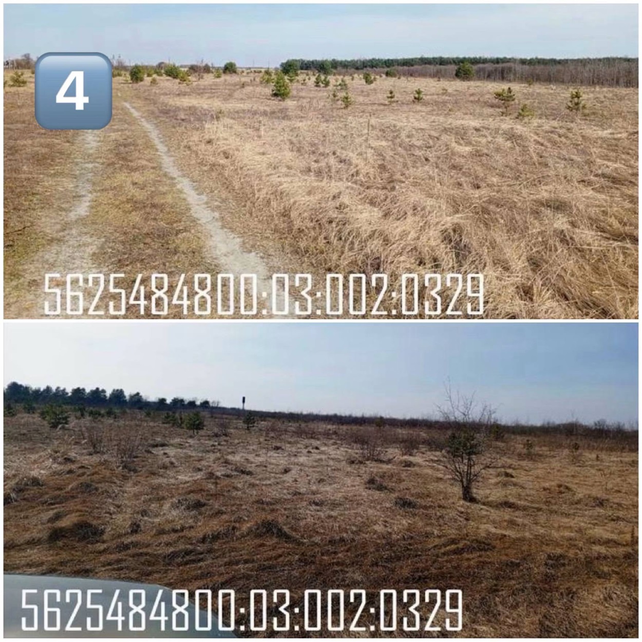 Лот №4.