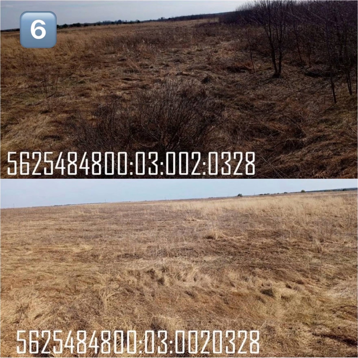Лот №6.