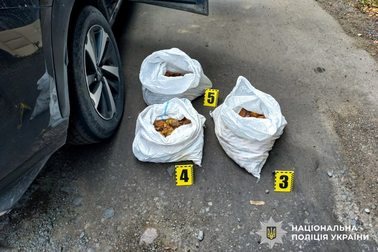 Бурштину на 30 тисяч доларів: на Рокитнівщині зупинили кросовер із трьома мішками каміння