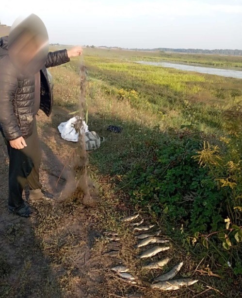 ловив рибу сіткою лугове